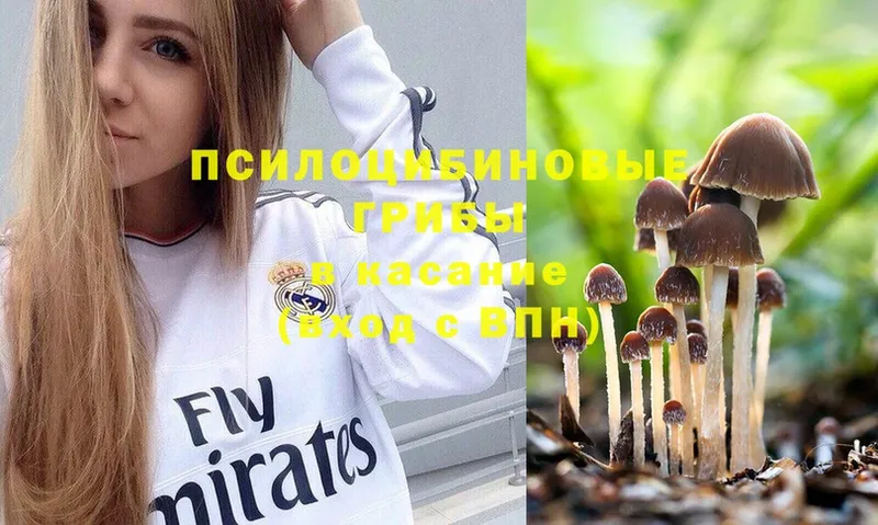 Псилоцибиновые грибы Psilocybine cubensis  Ноябрьск 